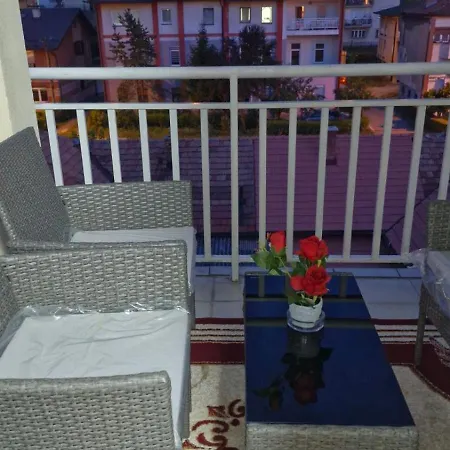 Apartment Beba